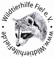Logo_Fiel