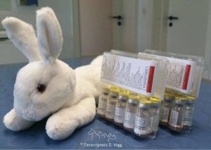 Neuer-RHDV2-Impfstoff-fuer-Kaninchen-Tierarztpraxis-Vogg-Hamburg